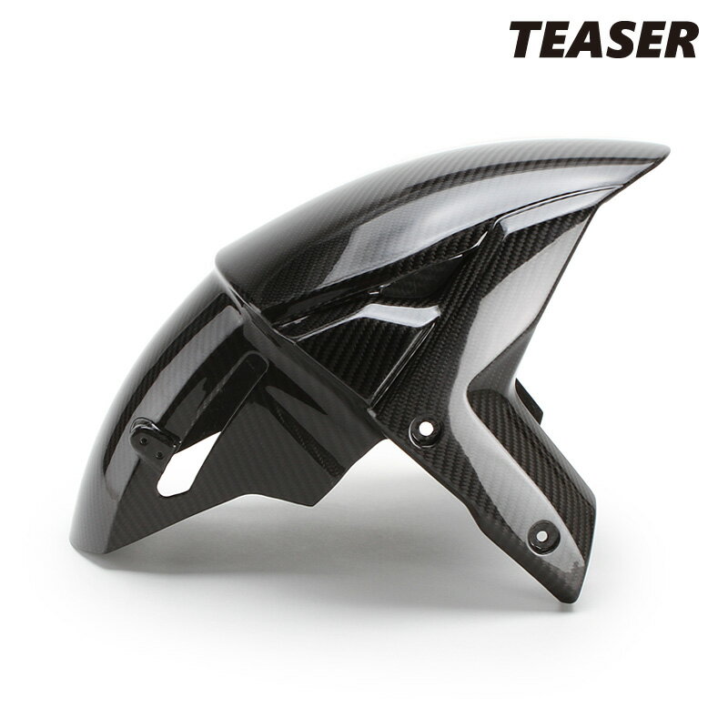 TEASER FFK05G FRONT FENDER 【DRY CARBON HG】 Kawasaki H2SX (22-) H2SE (22-) ティーザー カーボン フロント フェンダー