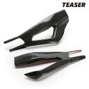 TEASER PTB07G SWINGARM COVER 【DRY CARBON HG】 BMW S1000RR (19-22) ティーザー カーボン スイング...