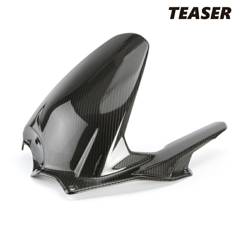 TEASER RFD12G REAR FENDER[DRY CARBON HG] DUCATI PANIGALE V4/S (25-) ティーザー カーボン リアフェンダー