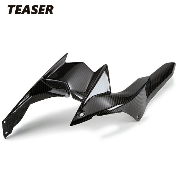 TEASER RFK01G REAR FENDER【DRY CARBON HG】 KAWASAKI　H2 ティーザー カーボン リアフェンダー