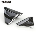 TEASER SPB01G SIDE PANEL 【DRY CARBON HG】 BMW R1200R (15-) R1200RS (15-) R1200GS ...