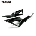 TEASER SPD02G SIDE PANEL 【DRY CARBON HG】 DUCATI 1098 1198 848 ティーザー カーボン サイド パネル