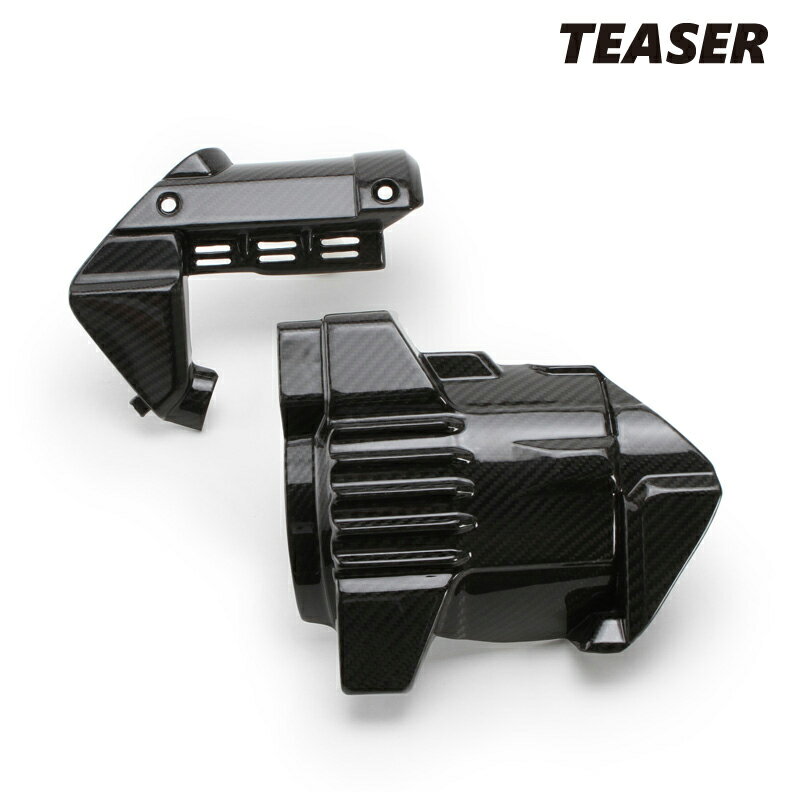 TEASER SPH03G ENGINE COVER 【DRY CARBON HG】 HONDA GOLD WING TOUR (18-23)ティーザー カーボン エンジンカバー