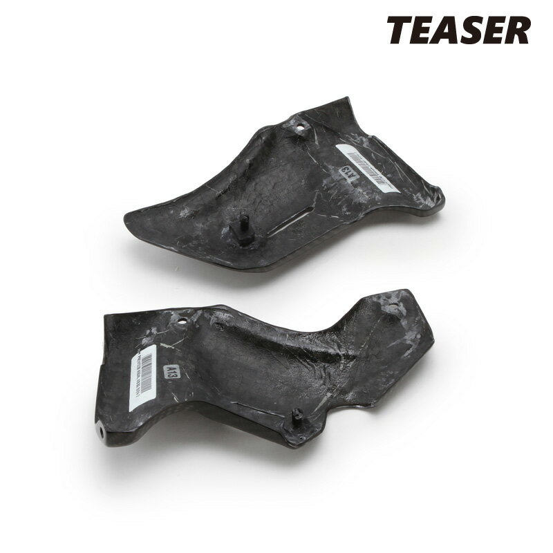 TEASER TFK02G NECK FRAME COVERS【DRY CARBON HG】 Kawasaki Z900RS (18-24) ティーザー カーボン ネックフレームカバー