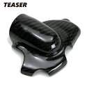 TEASER WPCD01G WATER PUMP COVER 【DRY CARBON HG】 DUCATI 1098 1198 848 ティーザー カーボン ...