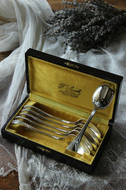 フランス Brocante Box付き スプーン 6本セット カトラリー シルバープレート B89