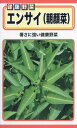 【全国送料無料】エンサイ(朝顔菜) / トーホク 野菜 ハーブ 草花 園芸 栽培 肥料 家庭菜園 球根 苗 種まき 種子 たね タネ 植物 ガーデニング 培養土 ポット 松永種苗 フタバ種苗 サカタのタネ タキイ種苗 ★在庫がある商品のみ12時(土日祝を除く)までのご注文で当日出荷
