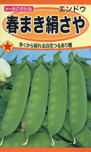 【全国送料無料】春まき絹さや / トーホク 野菜 ハーブ 草花 園芸 栽培 肥料 家庭菜園 球根 苗 種まき 種子 たね タネ 植物 ガーデニング 培養土 ポット じょうろ 連作障害対策 土壌改良 腐葉土★在庫がある商品のみ12時（土日祝を除く）までのご注文で当日出荷