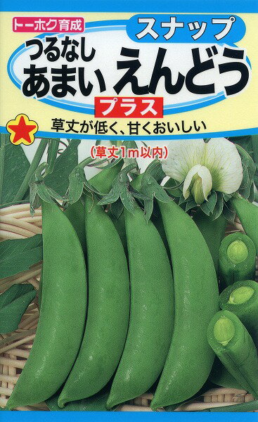 【全国送料無料】つるなし あまいえんどう プラス / トーホク 野菜 ハーブ 草花 園芸 栽培 肥料 家庭菜園 球根 苗 種まき 種子 たね タネ 植物 ガーデニング 培養土 ポット じょうろ 連作障害…