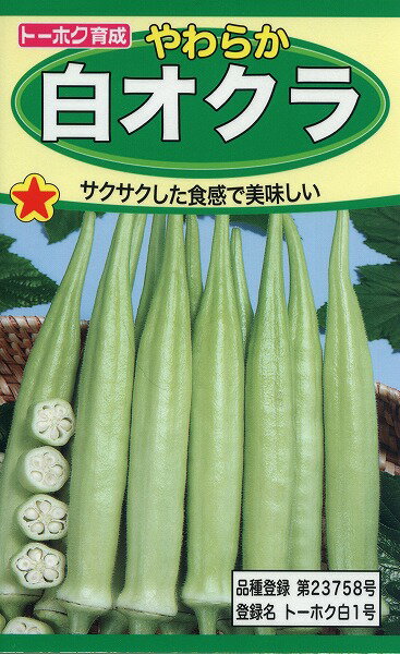 【全国送料無料】やわらか白オクラ/ トーホク 野菜 ハーブ 草花 園芸 栽培 肥料 家庭菜園 球根 苗 種まき 種子 たね タネ 植物 ガーデニング 培養土 ポット じょうろ 連作障害対策 土壌改良 腐葉土★在庫がある商品のみ12時（土日祝を除く）までのご注文で当日出荷