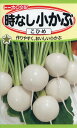 【全国送料無料】時なし小かぶ こひめ/ トーホク 野菜 ハーブ 草花 園芸 栽培 肥料 家庭菜園 球根 苗 種まき 種子 たね タネ 植物 ガーデニング 培養土 ポット じょうろ 連作障害対策 土壌改良 腐葉土★在庫がある商品のみ12時(土日祝を除く)までのご注文で当日出荷