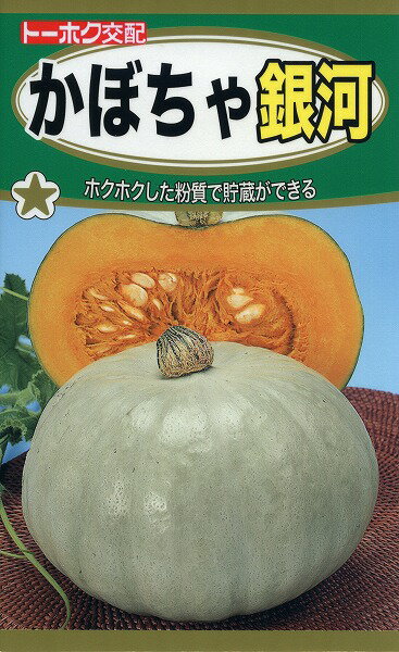 【全国送料無料】かぼちゃ　銀河/ トーホク 野菜 ハーブ 草花 園芸 栽培 肥料 家庭菜園 球根 苗 種まき 種子 たね タネ 植物 ガーデニング 培養土 ポット じょうろ 連作障害対策 土壌改良 腐葉土★在庫がある商品のみ12時（土日祝を除く）までのご注文で当日出荷