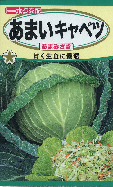 【全国送料無料】あまいキャベツ あまみさき / トーホク 野菜 ハーブ 草花 園芸 栽培 肥料 家庭菜園 球根 苗 種まき 種子 たね タネ 植物 ガーデニング 松永種苗 フタバ種苗 サカタのタネ タキ…