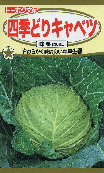 【全国送料無料】四季どりキャベツ 味星 あじほし / トーホク 野菜 ハーブ 草花 園芸 栽培 肥料 家庭菜園 球根 苗 種まき 種子 たね タネ 植物 ガーデニング 培養土 ポット じょうろ 土壌改良 …