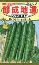 【全国送料無料】節成地這 みやのはた きゅうり / トーホク 野菜 ハーブ 草花 園芸 栽培 肥料 家庭菜園 球根 苗 種まき 種子 たね タネ 植物 ガーデニング 培養土 ポット じょうろ 連作障害対策 土壌改良 ★在庫がある商品のみ12時(土日祝を除く)までのご注文で当日出荷