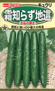 【全国送料無料】霜知らず地這 きぬの輝き きゅうり/ トーホク 野菜 ハーブ 草花 園芸 栽培 肥料 家庭菜園 球根 苗 種まき 種子 たね タネ 植物 ガーデニング 培養土 ポット じょうろ 連作障害対策 ★在庫がある商品のみ12時(土日祝を除く)までのご注文で当日出荷