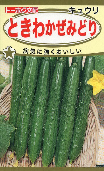 【全国送料無料】ときわかぜみどり　きゅうり/ トーホク 野菜 ハーブ 草花 園芸 栽培 肥料 家庭菜園 球根 苗 種まき 種子 たね タネ 植物 ガーデニング 培養土 ポット じょうろ 連作障害対策 土壌改良 腐葉土★在庫がある商品のみ12時（土日祝を除く）までのご注文で当日出荷