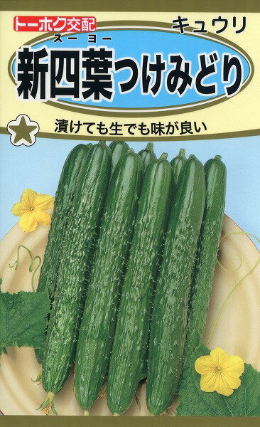 【全国送料無料】新四葉つけみどり　きゅうり/ トーホク 野菜 ハーブ 草花 園芸 栽培 肥料 家庭菜園 球根 苗 種まき 種子 たね タネ 植物 ガーデニング 培養土 ポット じょうろ 連作障害対策 土壌改良 腐葉土★在庫がある商品のみ12時（土日祝を除く）までのご注文で当日出荷