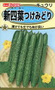 【全国送料無料】新四葉つけみどり きゅうり/ トーホク 野菜 ハーブ 草花 園芸 栽培 肥料 家庭菜園 球根 苗 種まき 種子 たね タネ 植物 ガーデニング 培養土 ポット じょうろ 連作障害対策 土壌改良 腐葉土★在庫がある商品のみ12時(土日祝を除く)までのご注文で当日出荷