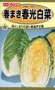 楽天リライアブル　RELIABLE【全国送料無料】春まき春光白菜　/ トーホク 野菜 ハーブ 草花 園芸 栽培 肥料 家庭菜園 球根 苗 種まき 種子 たね タネ 植物 ガーデニング ポット じょうろ 松永種苗 フタバ種苗 サカタのタネ タキイ★在庫がある商品のみ12時（土日祝を除く）までのご注文で当日出荷