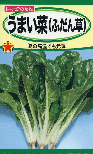 【全国送料無料】うまい菜（ふだん草）　/ トーホク 野菜 ハーブ 草花 園芸 栽培 肥料 家庭菜園 球根 苗 種まき 種子 たね タネ 植物 ガーデニング ポット じょうろ 松永種苗 フタバ種苗 サカタのタネ タキイ★在庫がある商品のみ12時（土日祝を除く）までのご注文で当日出荷