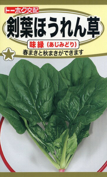 Rakuten - 【全国送料無料】剣葉ほうれん草　味緑（あじみどり）　/ トーホク 野菜 ハーブ 草花 園芸 栽培 肥料 家庭菜園 球根 苗 種まき 種子 たね タネ 植物 ガーデニング 松永種苗 フタバ種苗 サカタのタネ タキイ★在庫がある商品のみ12時（土日祝を除く）までのご注文で当日出荷
