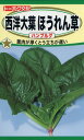 【全国送料無料】西洋大葉ほうれん草 ハンブルグ / トーホク 野菜 ハーブ 草花 園芸 栽培 肥料 家庭菜園 球根 苗 種まき 種子 たね 植物 ガーデニング ポット 松永種苗 フタバ種苗 サカタのタネ タキイ★在庫がある商品のみ12時(土日祝を除く)までのご注文で当日出荷
