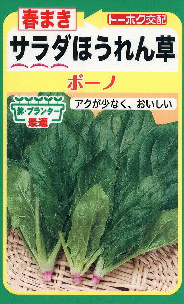 【全国送料無料】春まき　サラダほうれん草　/ トーホク 野菜 ハーブ 草花 園芸 栽培 肥料 家庭菜園 球根 苗 種まき 種子 たね タネ 植物 ガーデニング じょうろ 松永種苗 フタバ種苗 サカタのタネ タキイ★在庫がある商品のみ12時（土日祝を除く）までのご注文で当日出荷