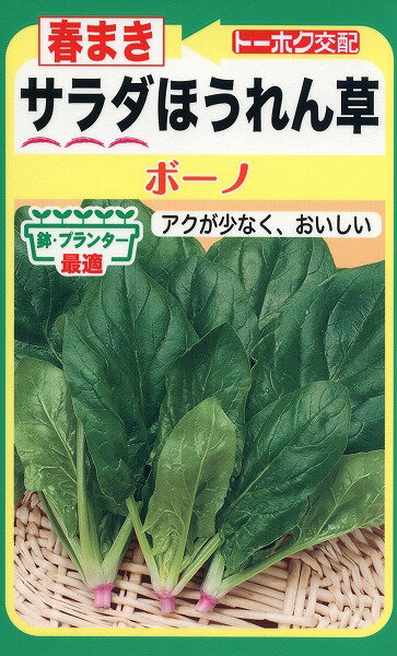 【全国送料無料】春まき　サラダほうれん草　/ トーホク 野菜 ハーブ 草花 園芸 栽培 肥料 家庭菜園 球根 苗 種まき 種子 たね タネ 植物 ガーデニング じょうろ 松永種苗 フタバ種苗 サカタのタネ タキイ★在庫がある商品のみ12時（土日祝を除く）までのご注文で当日出荷