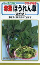 【全国送料無料】サラダ向き　赤茎ほうれん草　みやび　/ トーホク 野菜 ハーブ 草花 園芸 栽培 肥料 家庭菜園 球根 苗 種まき 種子 たね タネ 植物 ガーデニング 松永種苗 フタバ種苗 サカタのタネ タキイ★在庫がある商品のみ12時（土日祝を除く）までのご注文で当日出荷