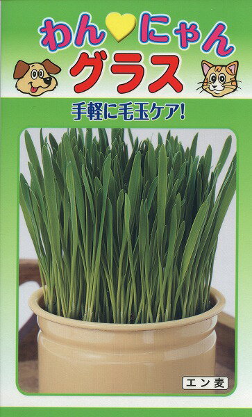 【全国送料無料】 わんにゃんグラス / トーホク 野菜 ハーブ 草花 園芸 ペットフード モンプチ ドッグフード 家庭菜園 おやつ 缶詰 ガーデニング 銀のスプーン キャットフード ロイヤルカナン …