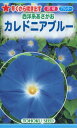  西洋系あさがお カレドニアブルー / トーホク 野菜 ハーブ 草花 園芸 栽培 肥料 家庭菜園 球根 苗 種まき 種子 植物 ガーデニング じょうろ 松永種苗 フタバ種苗 サカタのタネ タキイ種苗 ★在庫がある商品のみ12時（土日祝を除く）までのご注文で当日出荷