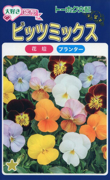 【全国送料無料】 ビオラ ビッツミックス / トーホク 野菜 ハーブ 草花 園芸 栽培 肥料 家庭菜園 球根 苗 種まき たね タネ ガーデニング ポット じょうろ 松永種苗 フタバ種苗 サカタのタネ タキイ種苗 ★在庫がある商品のみ12時（土日祝を除く）までのご注文で当日出荷