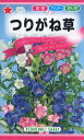 【全国送料無料】 つりがね草/ トーホク 野菜 ハーブ 草花 園芸 栽培 家庭菜園 球根 苗 種まき 種子 たね タネ 植物 ガーデニング ポット じょうろ 松永種苗 フタバ種苗 サカタのタネ タキイ種苗 連作障害★在庫がある商品のみ12時(土日祝を除く)までのご注文で当日出荷