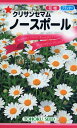 【全国送料無料】 クリサンセマム ノースポール/ トーホク 野菜 ハーブ 草花 園芸 栽培 肥料 家庭菜園 球根 苗 種まき 種子 たね タネ 植物 ガーデニング じょうろ 松永種苗 フタバ種苗 サカタのタネ タキイ★在庫がある商品のみ12時(土日祝を除く)までのご注文で当日出荷