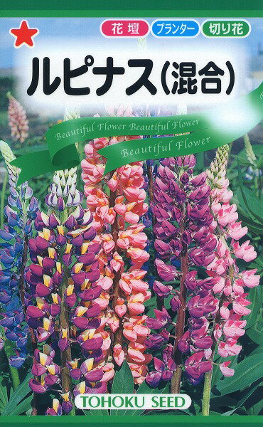 【全国送料無料】 ルピナス 混合 / トーホク 野菜 ハーブ 草花 園芸 栽培 肥料 家庭菜園 球根 種子 たね タネ 植物 ガーデニング ポット じょうろ 松永種苗 フタバ種苗 サカタのタネ タキイ 土…