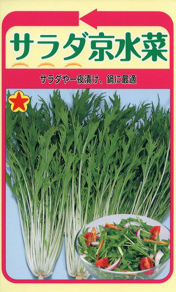 【全国送料無料】 サラダ京水菜/ トーホク 野菜 ハーブ 草花 園芸 栽培 肥料 家庭菜園 球根 苗 種まき 種子 たね タネ 植物 ガーデニング 培養土 ポット じょうろ 松永種苗 フタバ サカタのタネ タキイ種苗 ★在庫がある商品のみ12時（土日祝を除く）までのご注文で当日出荷