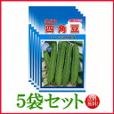 【5袋割引セット♪】【全国送料無料】早どり 四角豆/ トーホク 野菜 ハーブ 草花 園芸 栽培 肥料 家庭菜園 球根 苗 種まき 種子 たね タネ 植物 ガーデ...