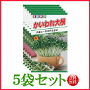 【5袋割引セット♪】【全国送料無料】かいわれ大根 / トーホク 野菜 ハーブ 草花 園芸 栽培 肥料 家庭菜園 球根 苗 種まき 種子 たね タネ 植物 ガーデ...