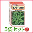 【5袋割引セット♪】【全国送料無料】エンサイ(朝顔菜) / トーホク 野菜 ハーブ 草花 園芸 栽培 肥料 家庭菜園 苗 種まき 種子 たね ガーデニング ポッ...