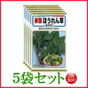 【5袋割引セット♪】【全国送料無料】サラダ向き 赤茎ほうれん草 みやび / トーホク 野菜 ハーブ 草花 園芸 栽培 肥料 家庭菜園 球根 苗 種まき 種子 たね ガーデニング フタバ種苗 サカタのタネ タキイ★在庫がある商品のみ12時(土日祝を除く)までのご注文で当日出荷