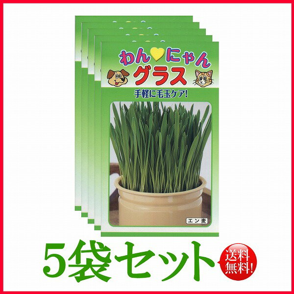 【5袋割引セット 】【全国送料無料】 わんにゃんグラス / トーホク 野菜 ハーブ 草花 園芸 ペットフード モンプチ ドッグフード 家庭菜園 おやつ 缶詰 銀のスプーン キャットフード ロイヤルカ…