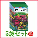 【5袋割引セット♪】【全国送料無料】 スターチス(混合)/ トーホク 野菜 ハーブ 草花 園芸 栽培 肥料 家庭菜園 タネ ガーデニング 培養土 ポット じょう...