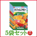 【5袋割引セット 】【全国送料無料】 カリフォルニアポピー/ トーホク 野菜 ハーブ 草花 園芸 栽培 肥料 家庭菜園 球根 苗 たね タネ ガーデニング ポット じょうろ 松永種苗 フタバ サカタの…