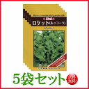 【5袋割引セット♪】【全国送料無料】ロケット(ルッコーラ) / トーホク 野菜 ハーブ 草花 園芸 栽培 肥料 家庭菜園 球根 苗 種まき 種子 たね ガーデニ...