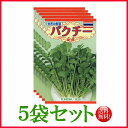 【5袋割引セット♪】【全国送料無料】パクチー / トーホク 野菜 ハーブ 草花 園芸 栽培 肥料 家庭菜園 球根 苗 種まき 種子 たね タネ 植物 ガーデニング じょうろ フタバ種苗 サカタのタネ タキイ種苗 ★在庫がある商品のみ12時(土日祝を除く)までのご注文で当日出荷
