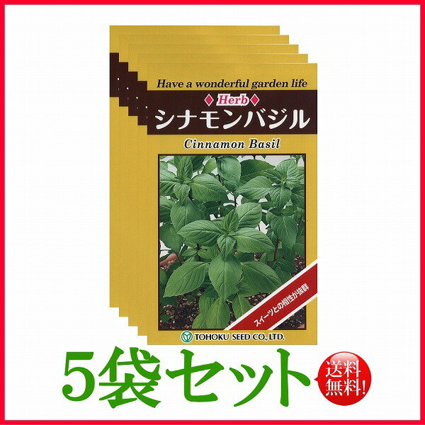 【5袋割引セット♪】【全国送料無料】シナモンバジル　/ トーホク 野菜 ハーブ 草花 園芸 栽培 肥料 家庭菜園 球根 苗 種まき 種子 たね ガーデニング ポット じょうろ 松永種苗 サカタのタネ タキイ種苗 ★在庫がある商品のみ12時（土日祝を除く）までのご注文で当日出荷