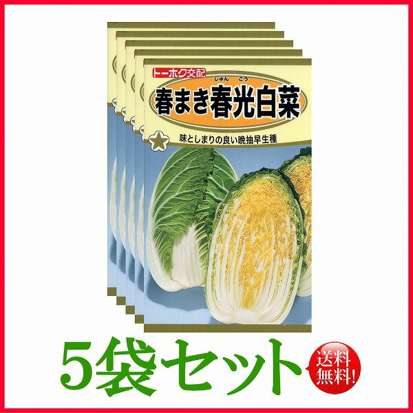 【5袋割引セット♪】【全国送料無料】春まき春光白菜　/ トーホク 野菜 ハーブ 草花 園芸 栽培 肥料 家庭菜園 球根 苗 種まき たね タネ 植物 ガーデニング ポット じょうろ フタバ種苗 サカタのタネ タキイ★在庫がある商品のみ12時（土日祝を除く）までのご注文で当日出荷