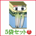 【5袋割引セット♪】【全国送料無料】 青首大根 夏祭/ トーホク 野菜 ハーブ 草花 園芸 栽培 肥料 家庭菜園 球根 苗 種まき タネ 植物 ガーデニング ポット じょうろ 松永種苗 フタバ サカタのタネ タキイ★在庫がある商品のみ12時(土日祝を除く)までのご注文で当日出荷