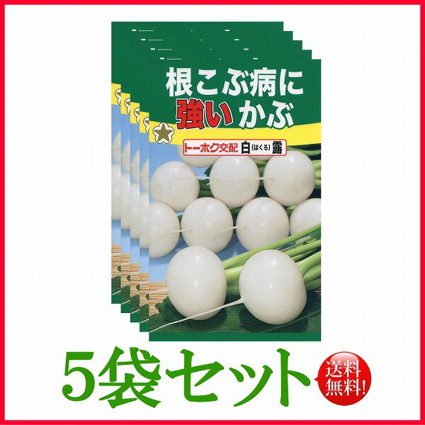 【5袋割引セット♪】【全国送料無料】根こぶ病に強いかぶ白露 / トーホク 野菜 ハーブ 草花 園芸 栽培 肥料 家庭菜園 球根 苗 種まき 種子 たね ガーデニング 培養土 松永種苗 フタバ サカタのタネ タキイ★在庫がある商品のみ12時（土日祝を除く）までのご注文で当日出荷